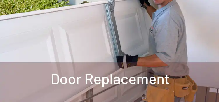  Door Replacement 
